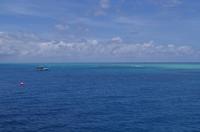 Fahrt mit dem Transferboot zur Insel Michaelmas Cay zum Schnorcheln