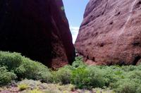 Besuch der Kata Tju?a (The Olgas) mit kleine Wanderung 