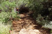 Besuch der Kata Tju?a (The Olgas) mit kleine Wanderung 