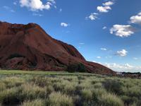 Blick auf den Ayers Rock