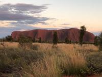 Sonnenaufgang am Ayers Rock