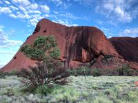 Kleine Wanderung des 