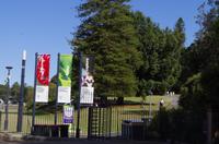 Spaziergang und Blick auf das Sydney Opera House