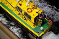 Einfahrt vom Milford Sound