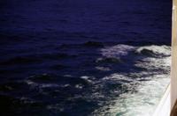 Einfahrt vom Milford Sound