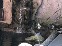 Besuch des International Antarctic Centre in Christchurch