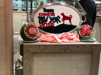 Unterwegs mit der Diamond Princess