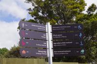 Besuch des Te Puia Te Puia Maori Arts & Crafts in Rotorua