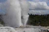 Besuch des Te Puia Te Puia Maori Arts & Crafts in Rotorua