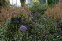 Besuch des Botanischen Gartens in Auckland