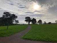 Stadtrundfahrt durch Auckland