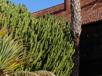 San Sebastian La Gomera 4