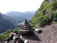 Garajonay Nationalpark 3