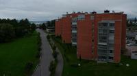 Hamar