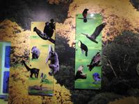 Miraflores Schleuse Panamakanal