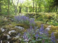 Auf dem Weg nach Campo