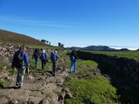 Spanien, El Hierro, Wanderung Hochweiden