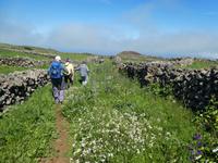 Spanien, El Hierro, Wanderung Hochweiden