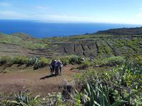 Spanien, El Hierro, Wanderung Lavafelder