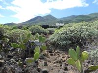 Spanien, El Hierro, Wanderung Lavafelder