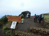 Spanien, El Hierro, Wanderung Sabinas