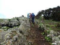 Spanien, El Hierro, Wanderung Sabinas