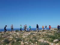 DSCN0137 Dingli Cliffs