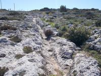 DSCN0140 Schleifspuren