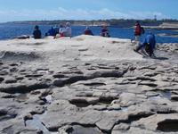 DSCN0206  Rast St.Thomas Bay