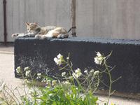 DSCN0372