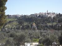 Blick vom Tempelberg zum Ölberg