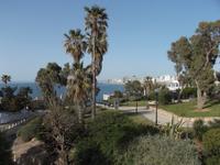 Jaffa