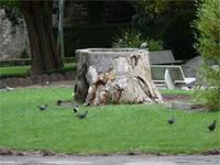 Kunstpark am Theater