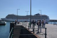 Kreuzfahrtschiff im Hafen von Funchal)
