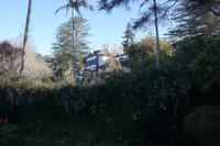 6.Tag Gärten Madeiras