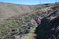 Wanderung Levada do Paul (da Serra)