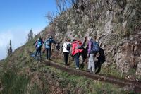 ...immer an der Wand lang...