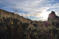 Teide Nationalpark - Los Roques