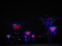 Supertrees - Singapur