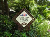 Orchideen Garten - Singapur