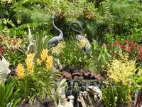 Orchideen Garten - Singapur