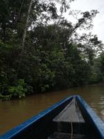 Fahrt auf den Fluss Cuyabeno 