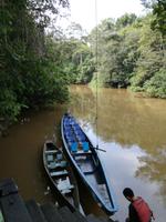 Tapir Lodge im Cuyabeno Reservat