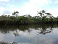 Fahrt auf den Fluss Cuyabeno 