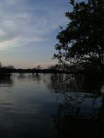 Sonnenuntergang am Lake Cuyabeno