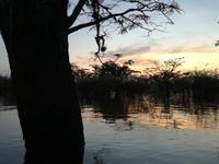 Sonnenuntergang am Lake Cuyabeno