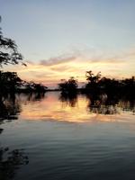Sonnenuntergang am Lake Cuyabeno
