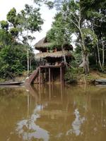 Fahrt auf den Fluss Cuyabeno 