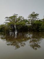 Rückfahrt nach Lago Agrio