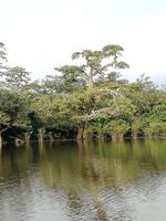 Rückfahrt nach Lago Agrio